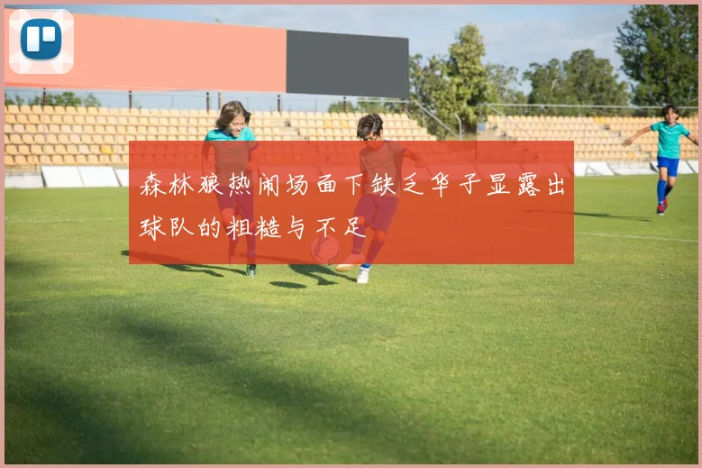 森林狼热闹场面下缺乏华子显露出球队的粗糙与不足