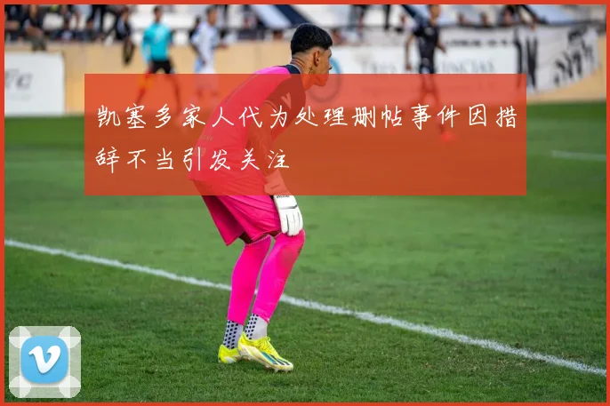 凯塞多家人代为处理删帖事件因措辞不当引发关注