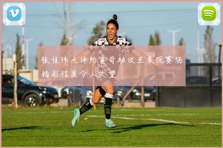 张佳玮点评约基奇助攻王表现赛场精彩程度令人失望